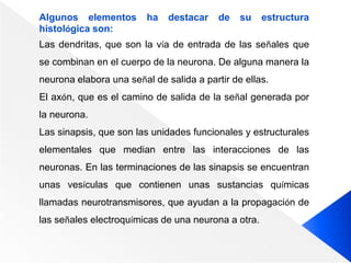 Algunos elementos ha destacar de su estructura
histológica son:
Las dendritas, que son la vía de entrada de las señales que
se combinan en el cuerpo de la neurona. De alguna manera la
neurona elabora una señal de salida a partir de ellas.
El axón, que es el camino de salida de la señal generada por
la neurona.
Las sinapsis, que son las unidades funcionales y estructurales
elementales que median entre las interacciones de las
neuronas. En las terminaciones de las sinapsis se encuentran
unas vesículas que contienen unas sustancias químicas
llamadas neurotransmisores, que ayudan a la propagación de
las señales electroquímicas de una neurona a otra.
 