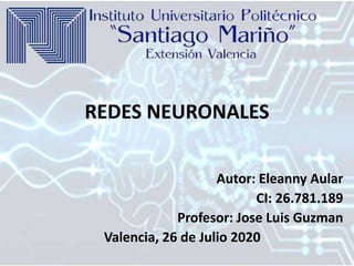 REDES NEURONALES
Autor: Eleanny Aular
CI: 26.781.189
Profesor: Jose Luis Guzman
Valencia, 26 de Julio 2020
 