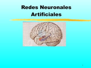 Redes Neuronales
   Artificiales




                   1
 