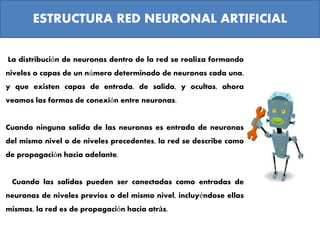 La distribución de neuronas dentro de la red se realiza formando
niveles o capas de un número determinado de neuronas cada una,
y que existen capas de entrada, de salida, y ocultas, ahora
veamos las formas de conexión entre neuronas.
Cuando ninguna salida de las neuronas es entrada de neuronas
del mismo nivel o de niveles precedentes, la red se describe como
de propagación hacia adelante.
Cuando las salidas pueden ser conectadas como entradas de
neuronas de niveles previos o del mismo nivel, incluyéndose ellas
mismas, la red es de propagación hacia atrás.
ESTRUCTURA RED NEURONAL ARTIFICIAL
 
