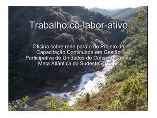 Trabalho co-labor-ativo

  Oficina sobre rede para o do Projeto de
     Capacitação Continuada em Gestão
Participativa de Unidades de Conservação na
      Mata Atlântica do Sudeste + Goiás




              Cristiano Lafetá – 2008
 