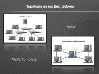 Topología de los Enrutadores
 
