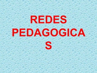 REDES PEDAGOGICAS 