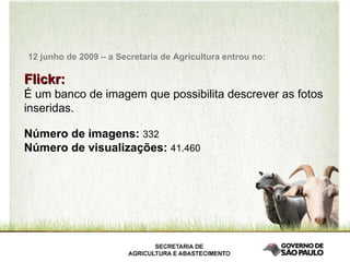   Flickr:  É um banco de imagem que possibilita descrever as fotos inseridas. Número de imagens:  332 Número de visualizações:  41.460 12 junho de 2009 – a Secretaria de Agricultura entrou no: 