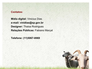 Contatos: Mídia digital:  Vinicius Dias e-mail: vinidias@sp.gov.br Designer:  Thaisa Rodrigues Relações Públicas:  Fabiano Marçal Telefone: (11)5067-0069 