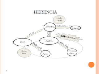 HERENCIA A 