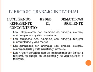 EJERCICIO TRABAJO INDIVIDUAL 2.UTILIZANDO REDES SEMANTICAS REPRESENTE EL SIGUIENTE CONOCIMIENTO: Los  platelmintos, son animales de simetría bilateral, cuerpo aplanado y vida parasitaria. Los moluscos son animales con simetría bilateral cuerpo blando y vida marina. Los artrópodos son animales con simetría bilateral, cuerpo anillado y vida acuática y terrestre. Los Phylum cordados son del reino animal con simetría bilateral, su cuerpo es un celoma y su vida acuática y terrestre. 