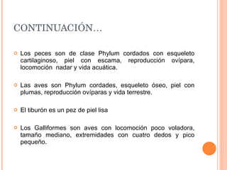 CONTINUACIÓN… Los peces son de clase Phylum cordados con esqueleto cartilaginoso, piel con escama, reproducción ovípara, locomoción  nadar y vida acuática.  Las aves son Phylum cordades, esqueleto óseo, piel con plumas, reproducción ovíparas y vida terrestre. El tiburón es un pez de piel lisa Los Galliformes son aves con locomoción poco voladora, tamaño mediano, extremidades con cuatro dedos y pico pequeño. 
