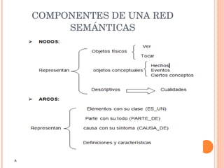COMPONENTES DE UNA RED SEMÁNTICAS A 
