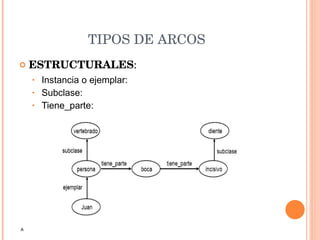 TIPOS DE ARCOS ESTRUCTURALES :  Instancia o ejemplar: Subclase: Tiene_parte: A 