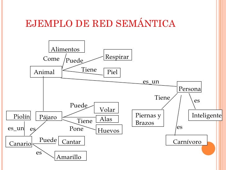 Redes Semanticas