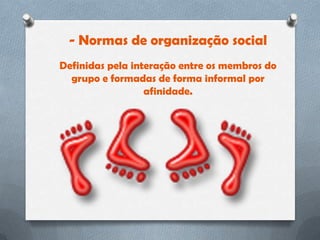 - Normas de organização social
Definidas pela interação entre os membros do
  grupo e formadas de forma informal por
                  afinidade.
 