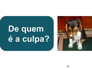 De quem 
é a culpa? 
24 
 