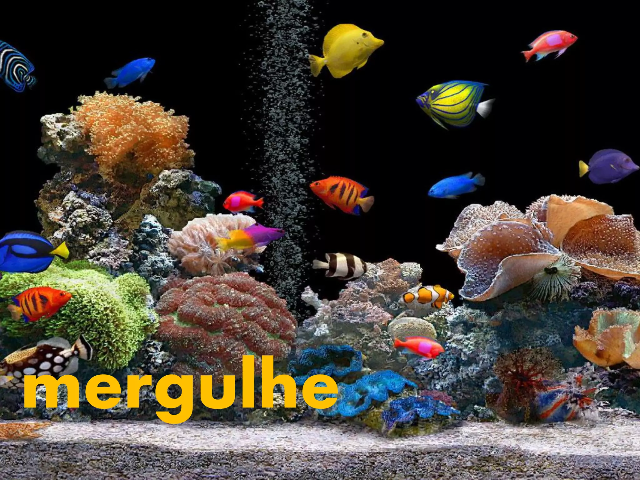 mergulhe
 