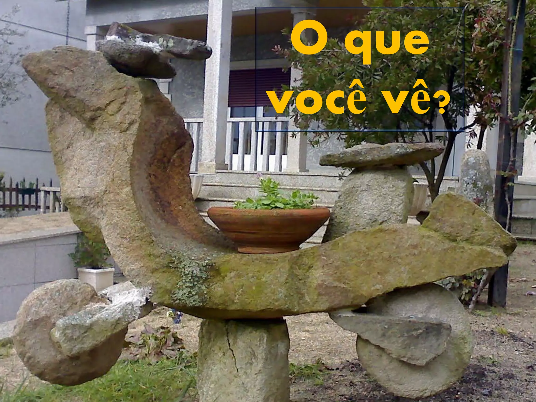 O que
você vê?
 