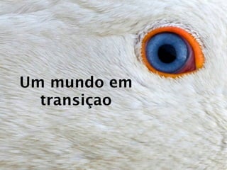 Um mundo em
  transiçao
 