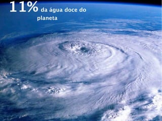 11%   da água doce do
  planeta
 