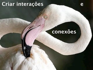 Criar interações              e




                   conexões
 