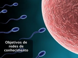 Objetivos de
  redes de
conhecimento
 