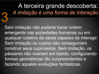 A terceira grande descoberta:
    A imitação é uma forma de interação
3
Sem imitação não poderia haver ordem
emergente nas sociedades humanas ou em
qualquer coletivo de seres capazes de interagir.
Sem imitação os cupins não conseguiriam
construir seus cupinzeiros. Sem imitação, os
pássaros não voariam em bando, configurando
formas geométricas tão surpreendentes e
fazendo aquelas evoluções fantásticas.
 