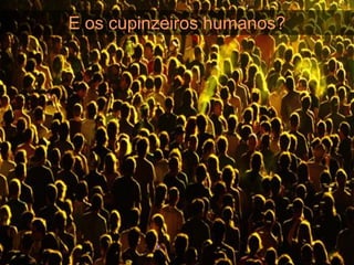 E os cupinzeiros humanos?
 