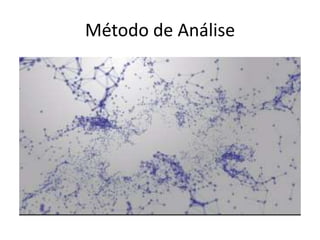 Método de Análise
 