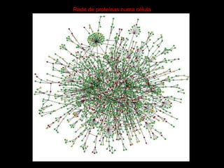 Rede de proteínas numa célula 