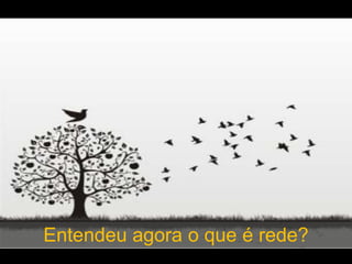 Entendeu agora o que é rede?