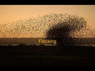 Flocking