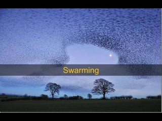 Swarming