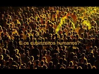 E os cupinzeiros humanos?
