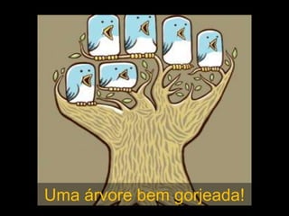 Uma árvore bem gorjeada!