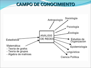 CAMPO DE CONOCIMIENTO 