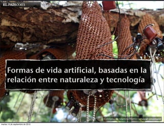 Formas de vida artificial, basadas en la
      relación entre naturaleza y tecnología



                                 ...