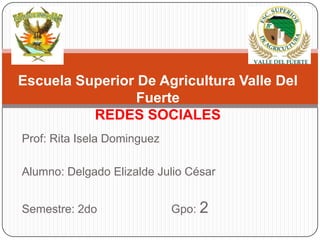 Prof: Rita Isela Dominguez
Alumno: Delgado Elizalde Julio César
Semestre: 2do Gpo: 2
Escuela Superior De Agricultura Valle Del
Fuerte
REDES SOCIALES
 