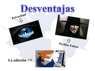 Pr

d
cida
iva

Perfiles

La adicción

Falsos

 