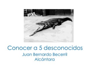 Conocer a 5 desconocidos
Juan Bernardo Becerril
Alcántara

 