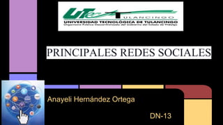 PRINCIPALES REDES SOCIALES 
Anayeli Hernández Ortega 
DN-13 
 