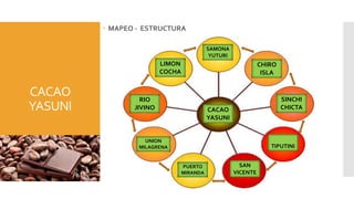 CACAO
YASUNI
 MAPEO - ESTRUCTURA
CACAO
YASUNI
PUERTO
MIRANDA
SAN
VICENTE
TIPUTINI
SINCHI
CHICTA
CHIRO
ISLA
SAMONA
YUTURI
LIMON
COCHA
RIO
JIVINO
UNION
MILAGRENA
 