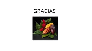 GRACIAS
 