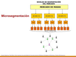 Fuente: Basado en Todd Stein, Cómo maximizar las portunidades del mercado potencial. Biblioteca Estrategias de Marketing y Clientes DQ-Expansion Microsegmentación 