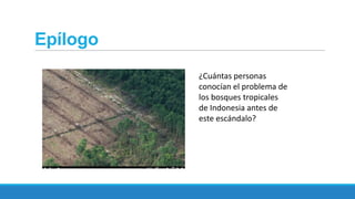 Epílogo
¿Cuántas personas
conocían el problema de
los bosques tropicales
de Indonesia antes de
este escándalo?

 