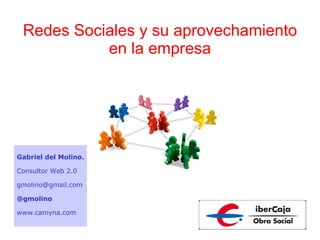 Redes Sociales y su aprovechamiento en la empresa Gabriel del Molino. Consultor Web 2.0 [email_address] @gmolino www.camyna.com 