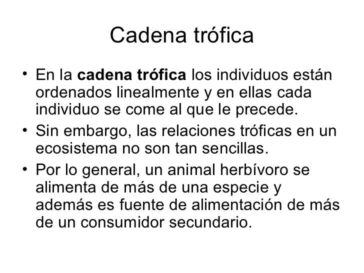 cadenas y redes alimentarias informacion redes tr 243 ficas cadenas y redes alimentarias informacion redes tr 243 ficas