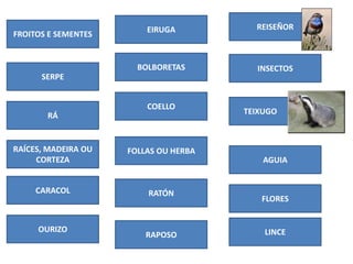 FROITOS E SEMENTES
FOLLAS OU HERBA
FLORES
RAÍCES, MADEIRA OU
CORTEZA
CARACOL
OURIZO
EIRUGA
BOLBORETAS
RÁ
COELLO
RATÓN
RAPO...