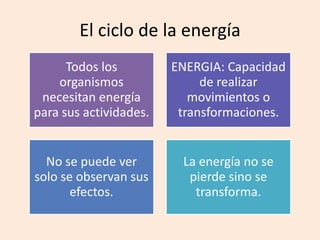 El ciclo de la energía
Todos los
organismos
necesitan energía
para sus actividades.
ENERGIA: Capacidad
de realizar
movimientos o
transformaciones.
No se puede ver
solo se observan sus
efectos.
La energía no se
pierde sino se
transforma.
 