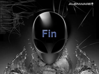Fin