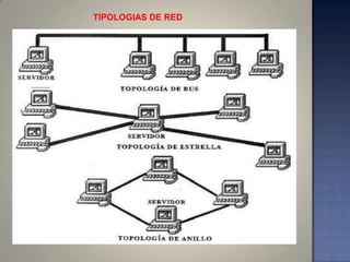 TIPOLOGIAS DE RED
 