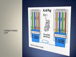 CONECTORES
UTP
 
