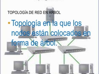 TOPOLOGÍA DE RED EN ÁRBOL

• Topología en la que los
  nodos están colocados en
  forma de árbol.
 